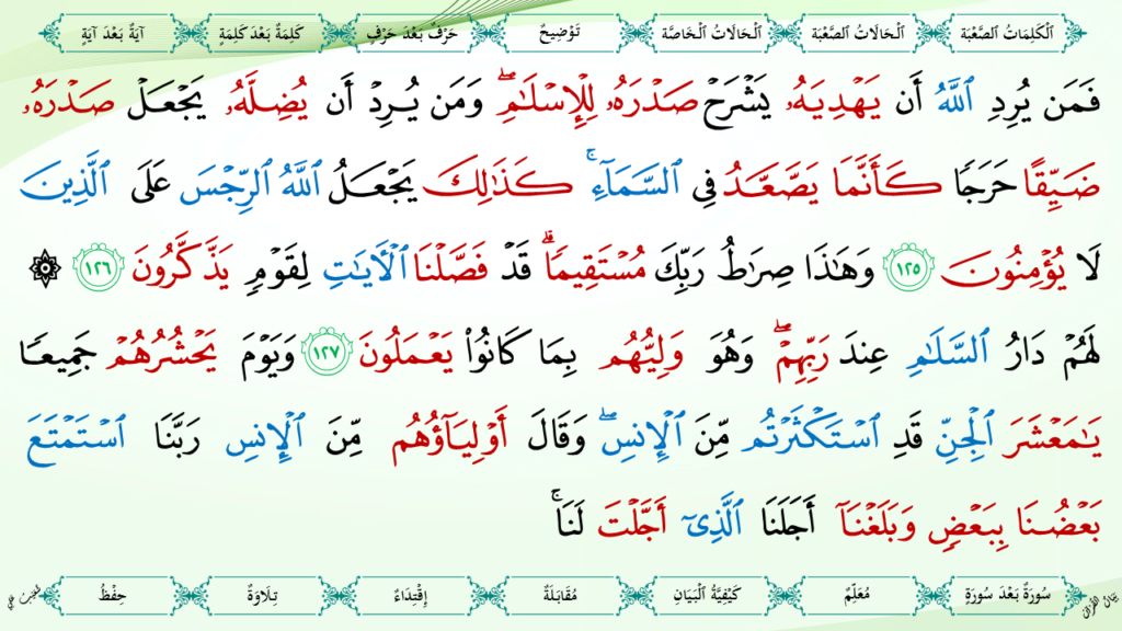 6- سورة الأنعام - 39