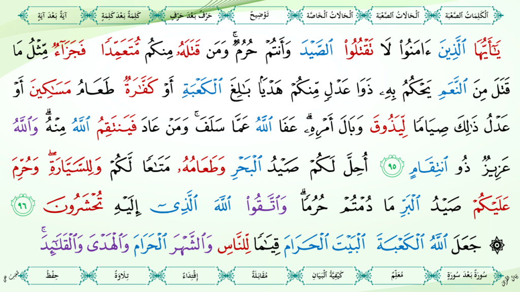 5- سورة المائدة - 41