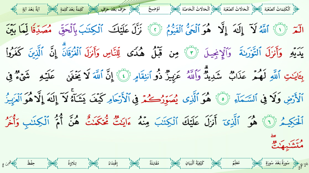3-سورة آل عمران - 8